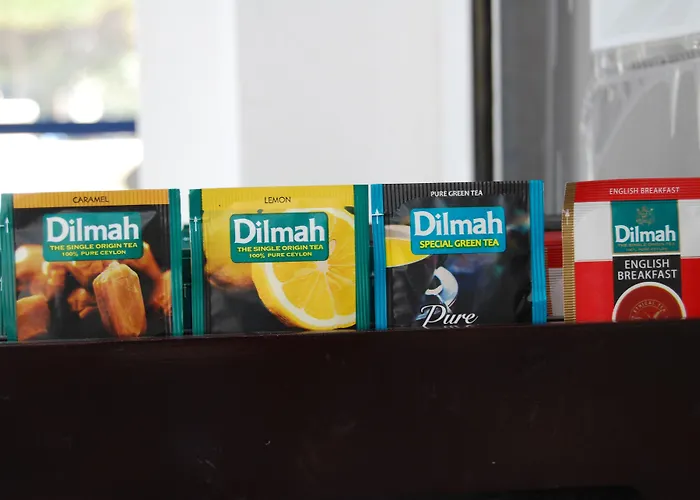 Ξενοδοχείο με διαμερίσματα Aretousa Περίσσα